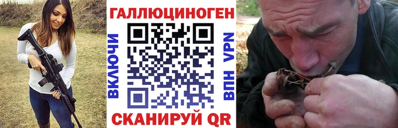 Галлюциногенные грибы прущие грибы  Ярославль 