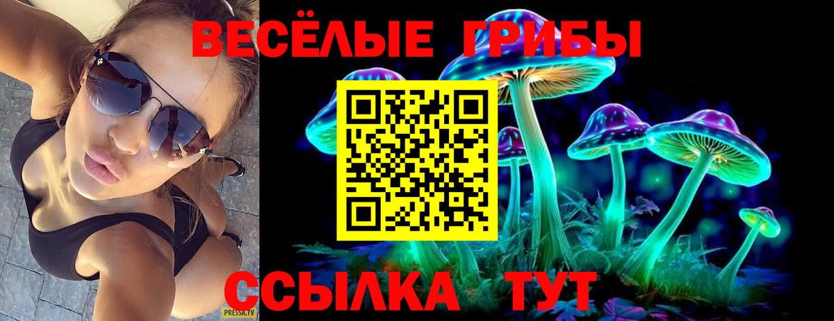 Ярославль  Псилоцибиновые грибы прущие грибы  Вход с VPN  Галлюциногенные грибы MAGIC MUSHROOMS 